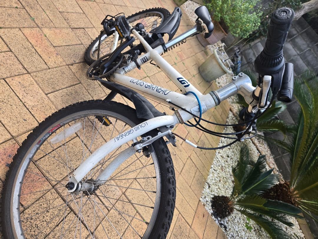 キッズ用自転車 ルイガノ（22インチ）