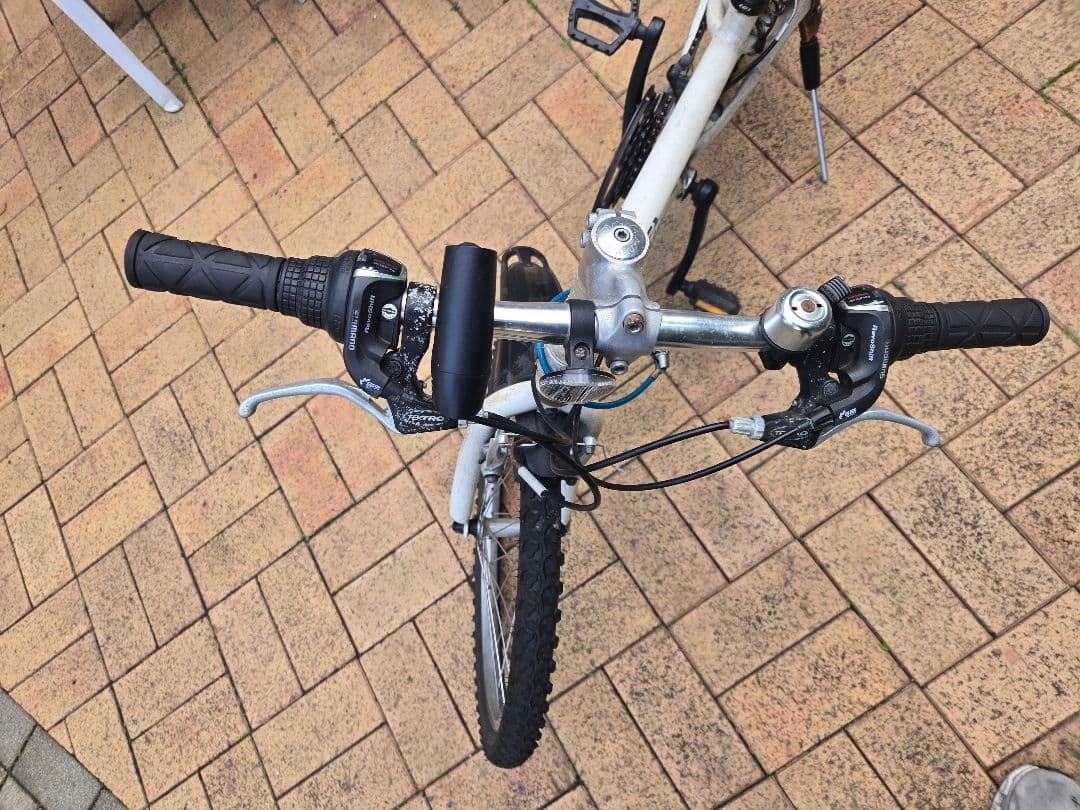 キッズ用自転車 ルイガノ（22インチ）