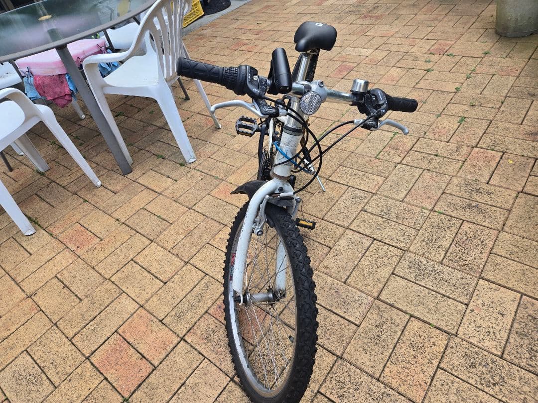 キッズ用自転車 ルイガノ（22インチ）