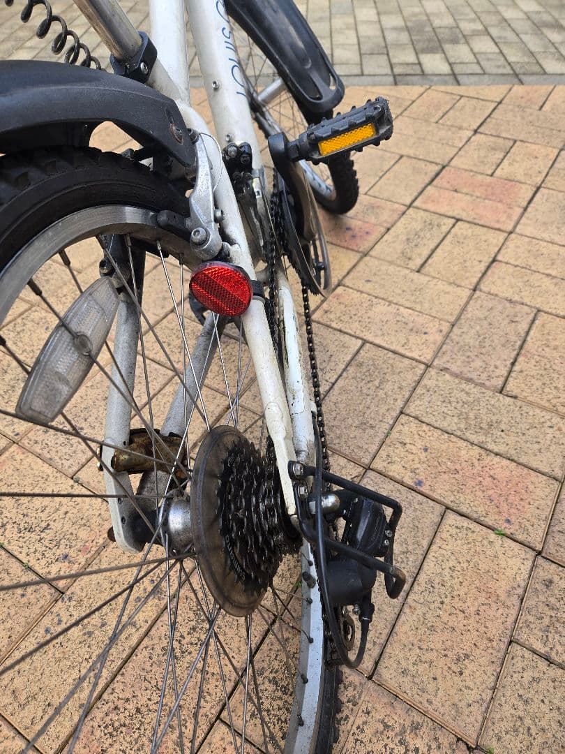 キッズ用自転車 ルイガノ（22インチ）