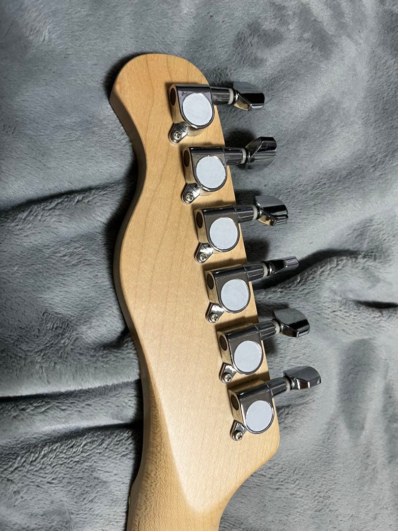 ブラック テレキャスター バッカスBTE-250M BLK 附属品あり