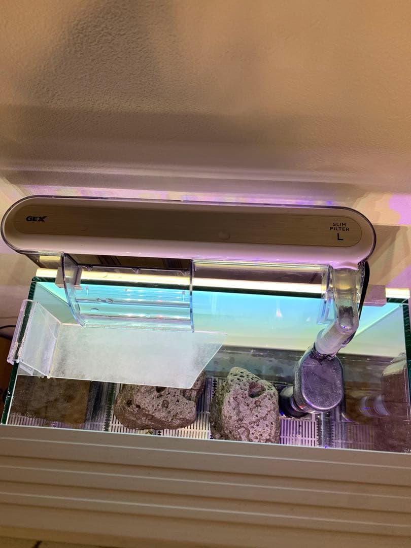 せ*い様 【引き取り限定】30㌢キューブガラス水槽 LEDライト付き 流木と