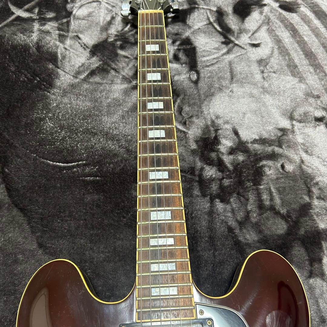 Burny エレキギター サンバースト 楽器 ソフトケース付きの通販はau