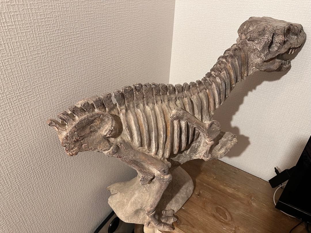 COVENT GARDEN 恐竜の大型骨格オブジェ　約80cm グレー 石膏製？