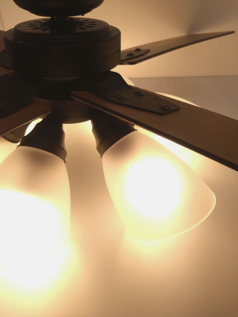 シーリングファン ウィンダブル 6灯 BIG-102 Windouble 阪和