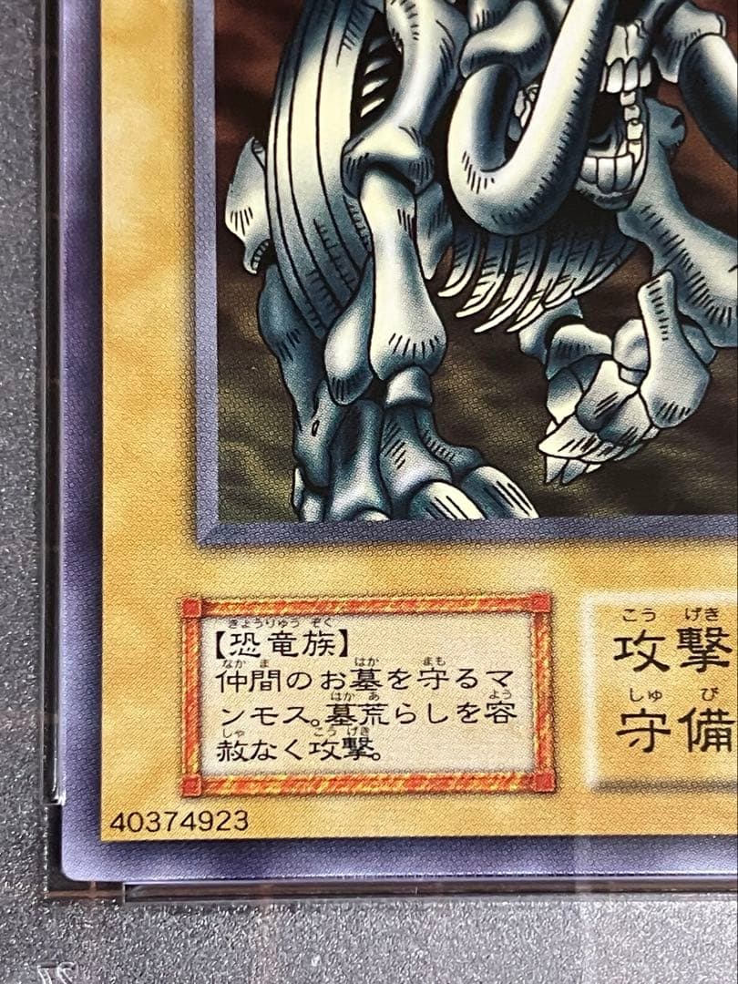 マンモスの墓場　初期　PSA10 遊戯王GEM Mint Vol.1