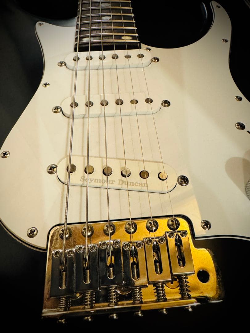 ギター FREEDOM CUSTOM GUITAR RESEARCH EZa 24f