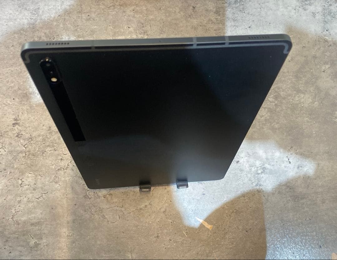 イクイノックス 実使用 調教 蹄鉄 鬣 一本付き ② イクイノックス】実