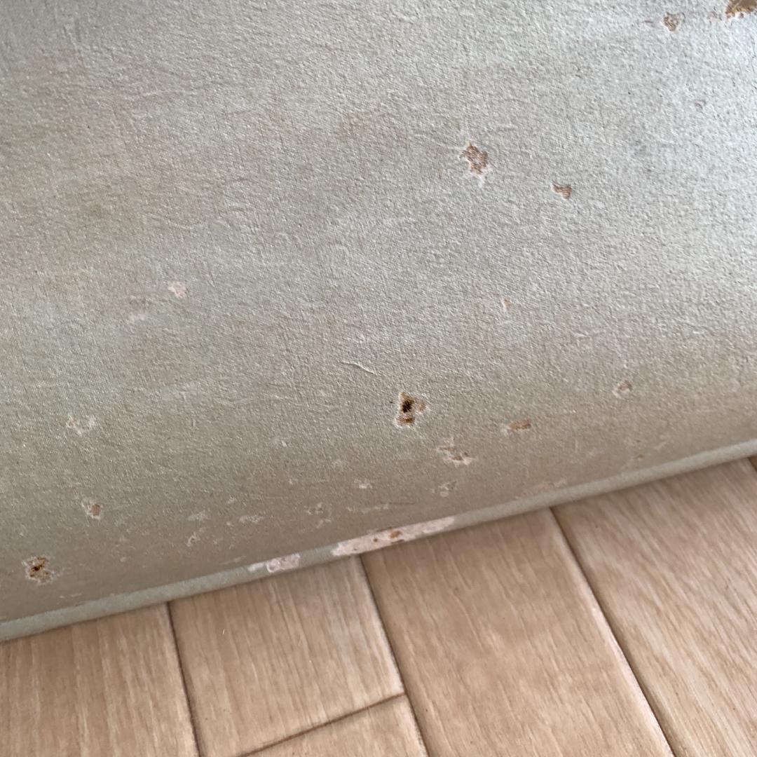 掛け軸 瀧の国　古物　肉筆　絹本