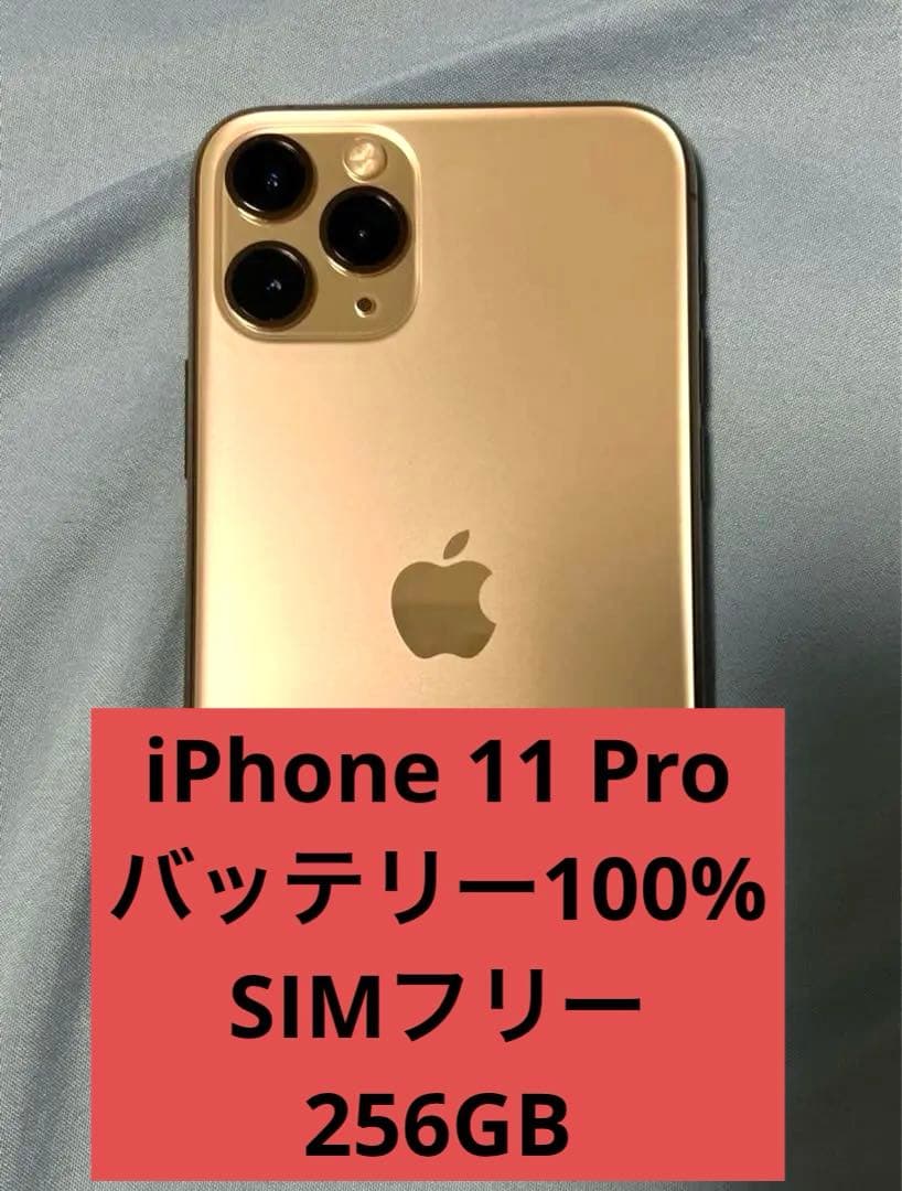 iPhone11pro 本体 iPhone 256GB