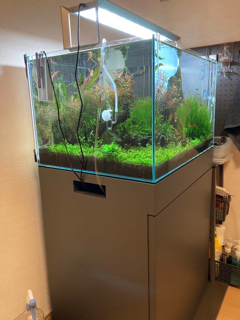 ADAウッドキャビネット水槽台 ガンメタシルバー(W60×D45×H70cm) - メルカリ