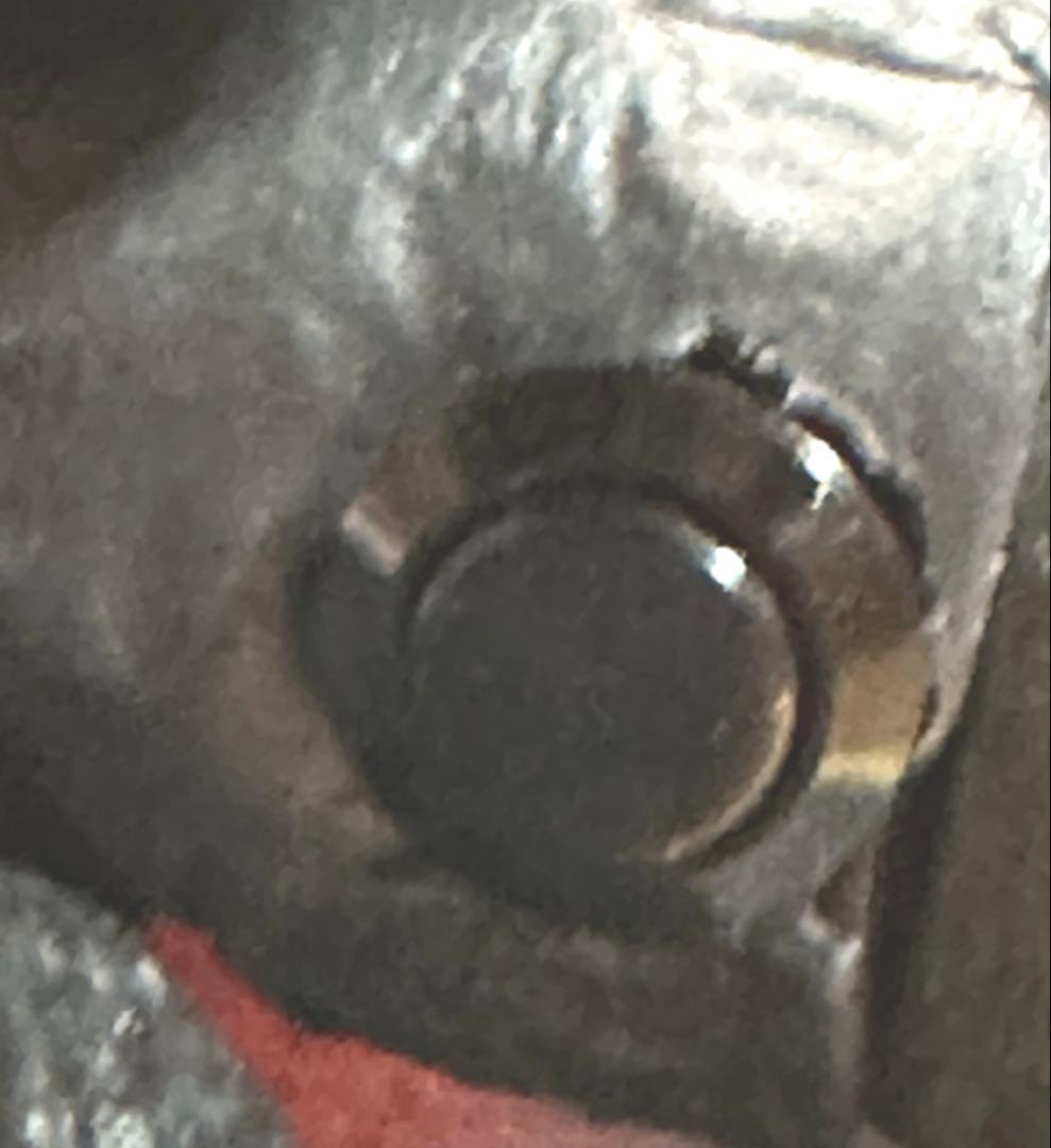 ムービーモンスターバーニングゴジラver２対ゴジラ.ストア限定デストロイア