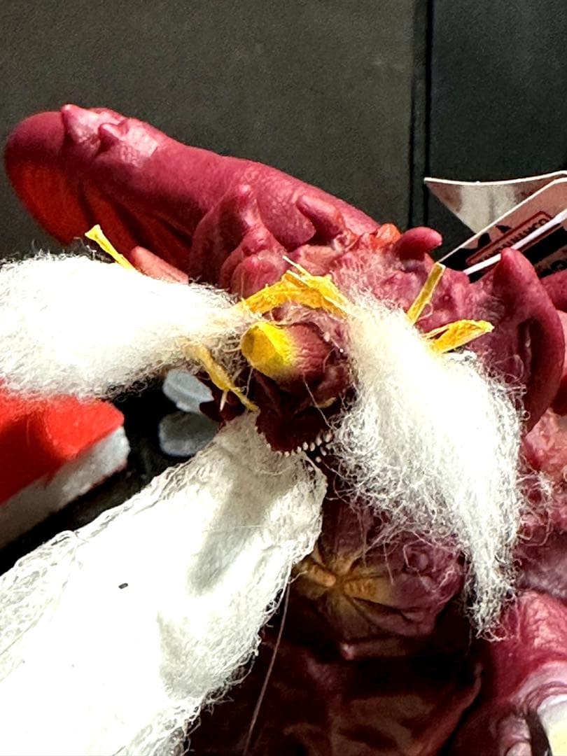 ムービーモンスターバーニングゴジラver２対ゴジラ.ストア限定デストロイア