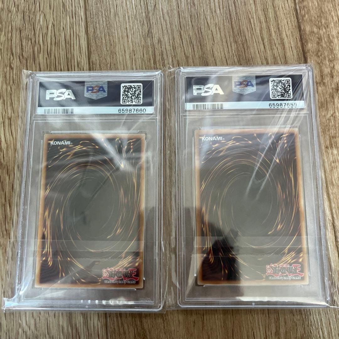 ドラゴンメイド　ティルル　ナサリー