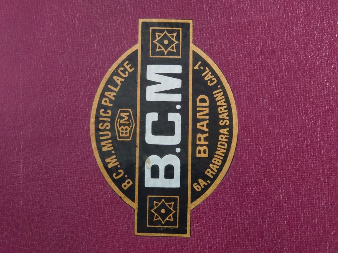 シタール ケース付き