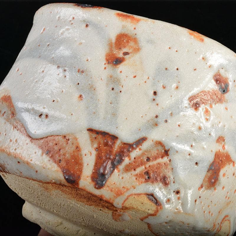 茶道具 岐阜県無形文化財 志野焼 林正太郎作 絵志野茶碗 共箱