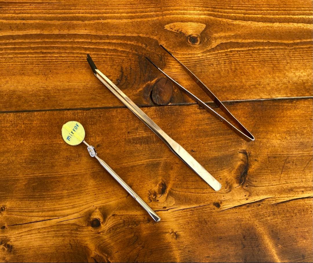 クワガタ採集セット オリジナルかき出し棒 採集道具 迷彩柄 採集ケース