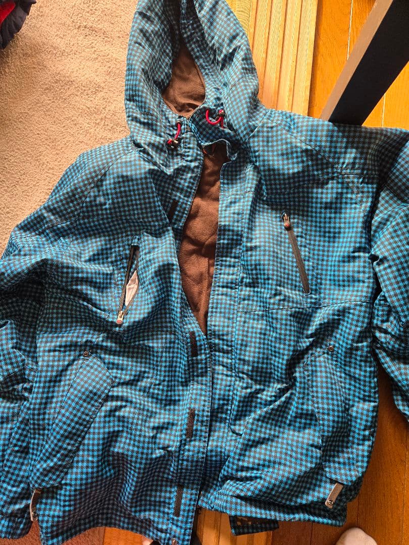 Goniocidaris spinosa ウニ 標本