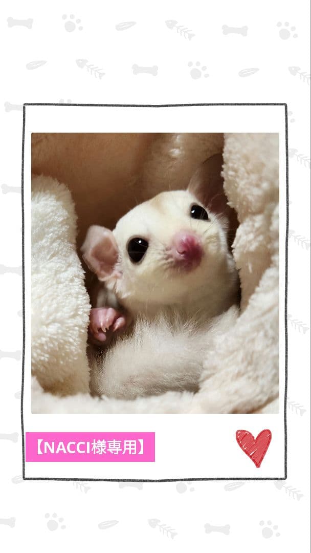 haru様専用 ハムスター グラスハーモニー600用 ロフト巣箱