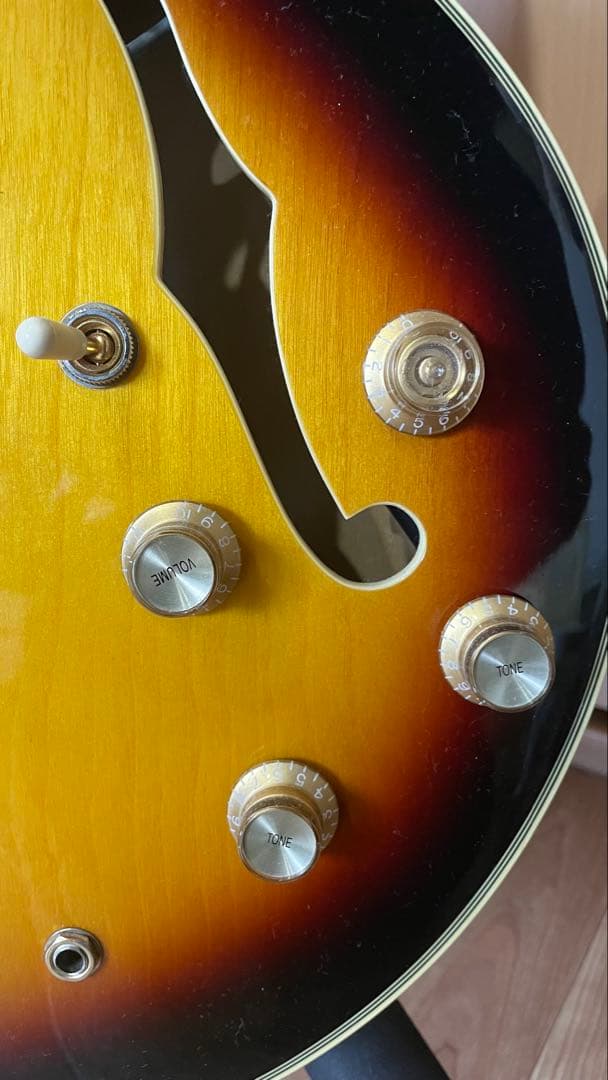 Epiphone Sheraton Ⅱ PRO 付属ソフトケース付き