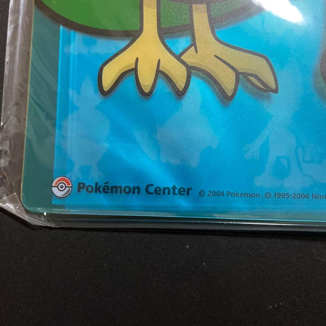 2004年製】ポケモンセンター限定 A4クリアホルダー ホウエン御三家
