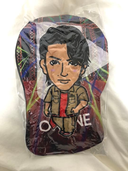 藤原樹 クッション SR