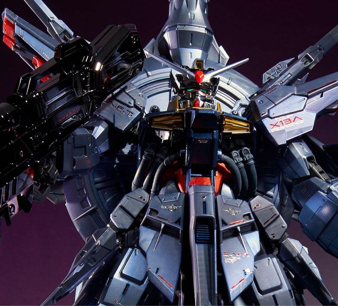 ＭＧ1/100 プロヴィデンスガンダム [スペシャルコーティング] 2個