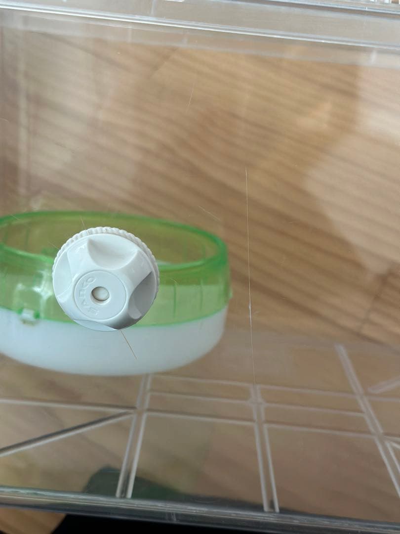 KWケージ レア うさぎ 輸入ケージ 4羽キャリー 中古品