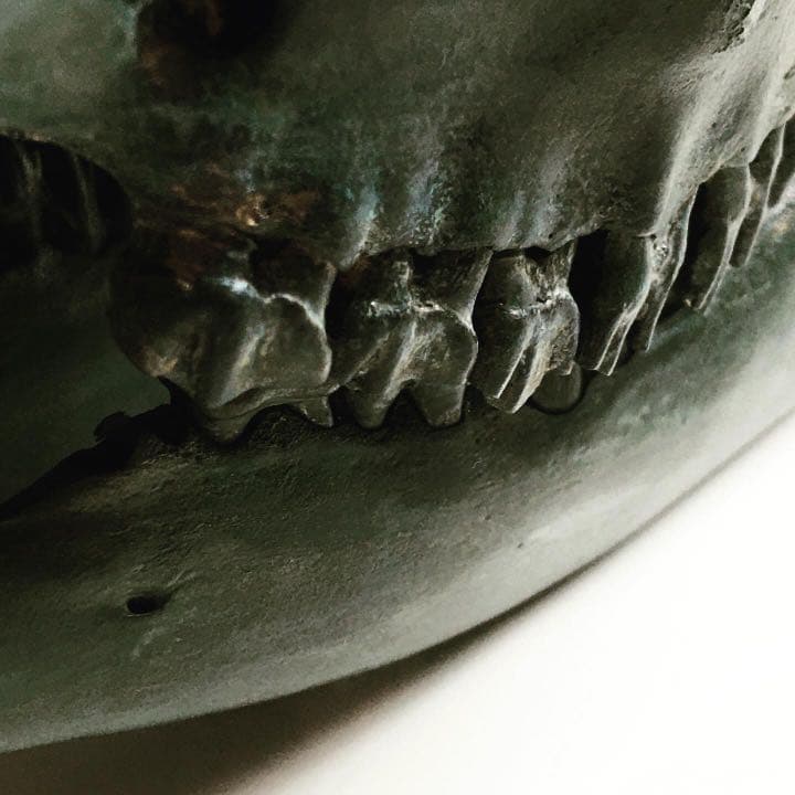 鹿頭蓋骨 頭骨 ブロンズ加工