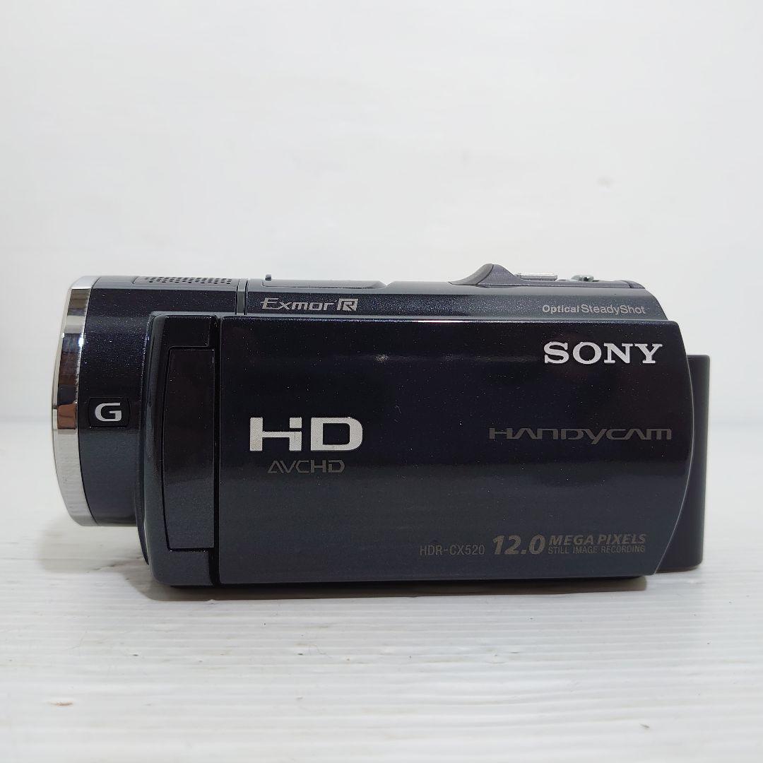 動作ok　ナイトショット　SONY　Handycam HDR-CX520V