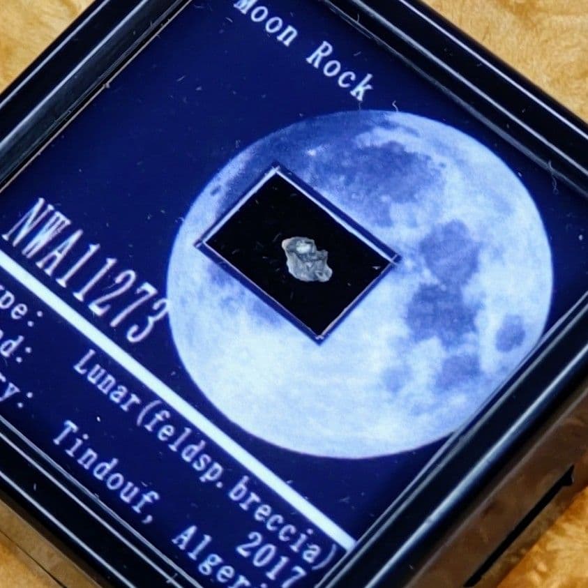 スペシャルレア! ＊月の石＊ 月から来たNWA11273隕石標