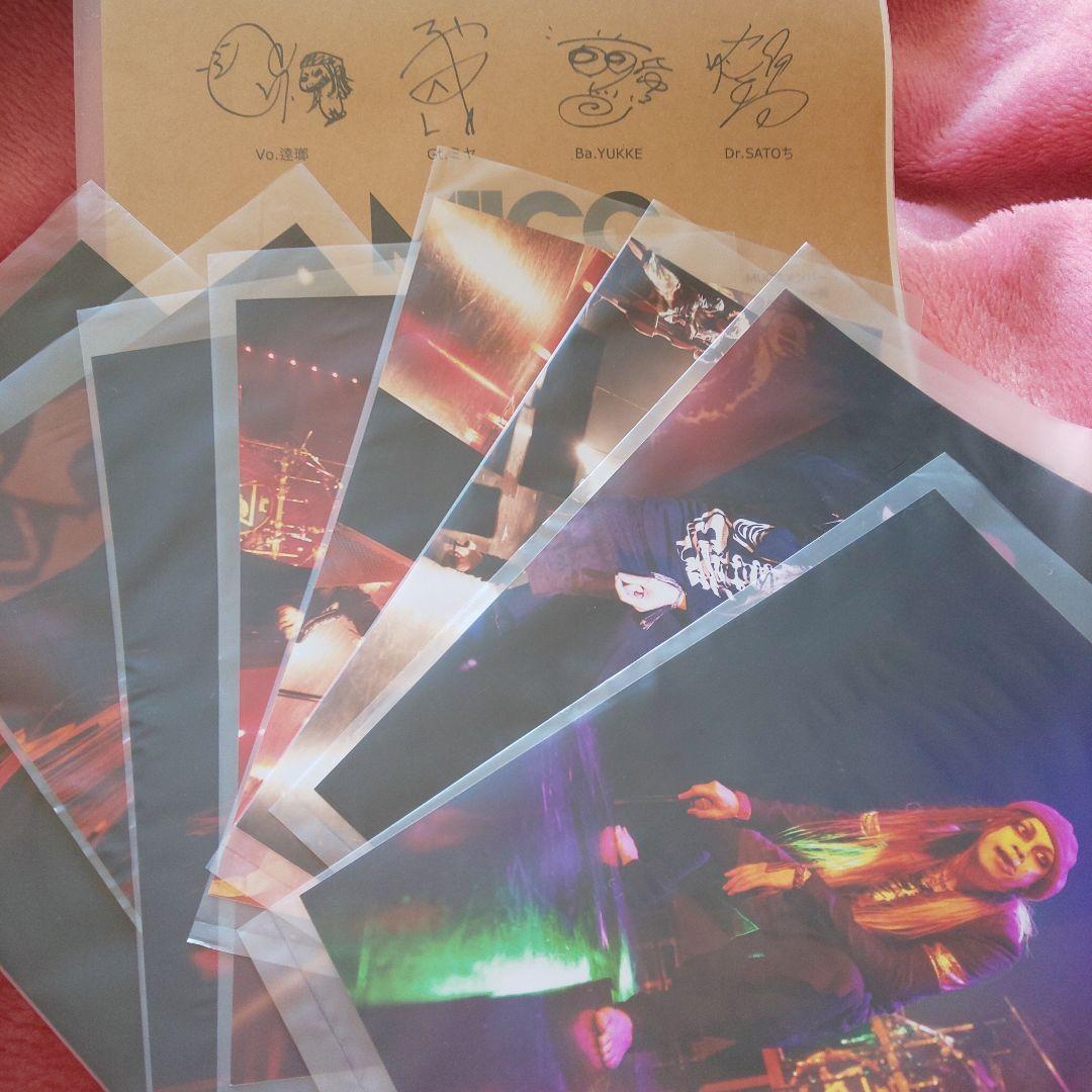 mucc 逹瑯 写真セット 8枚 mucc 逹瑯 写真セット 8枚 mucc 逹瑯 写真セット 8枚 mucc 逹