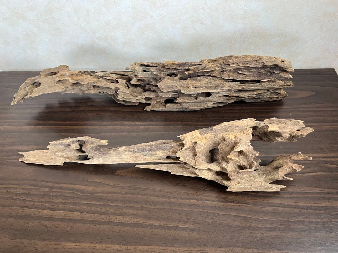 XM-446 流木 マシンガンウッド ブランチウッド アクアリウム - メルカリ