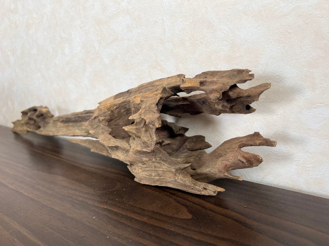 XM-446 流木 マシンガンウッド ブランチウッド アクアリウム - メルカリ