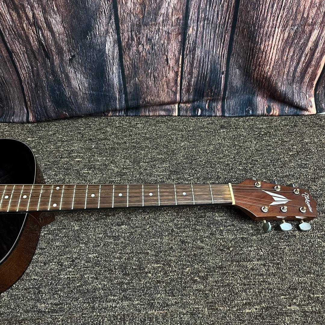 アコースティックギター タカミネ ソフトケース付 タカミネ