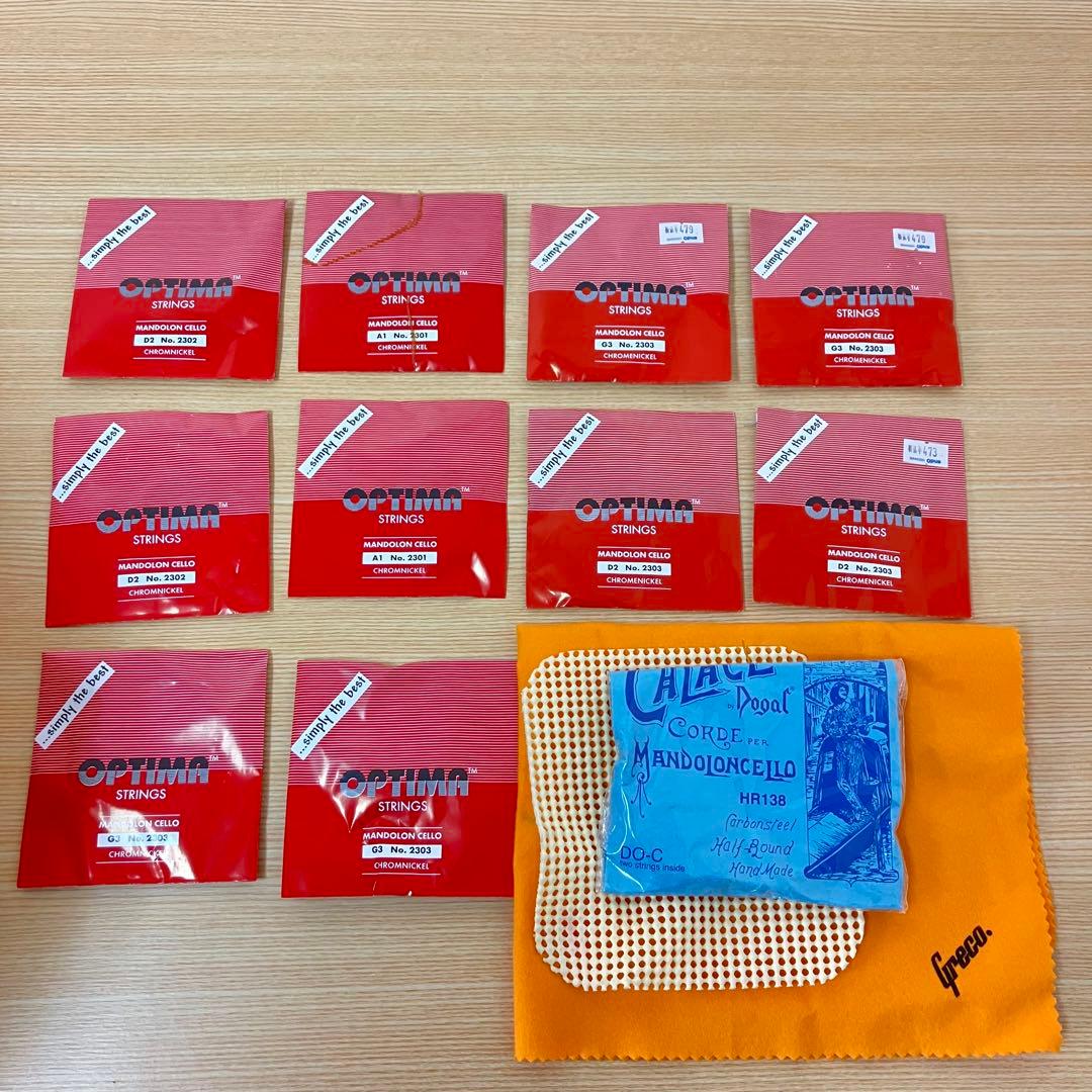 野口實 マンドリン CM-11 ハードケース付き