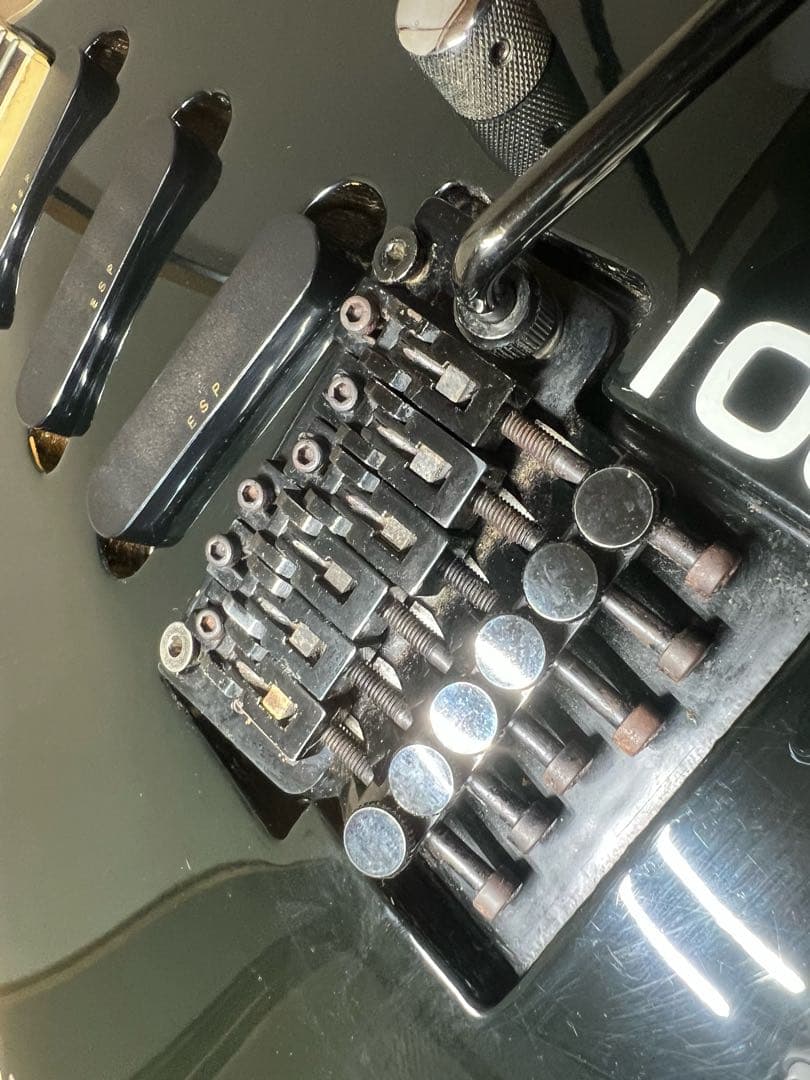 EDWARDSエドワーズプロフェッショナルギターとベース