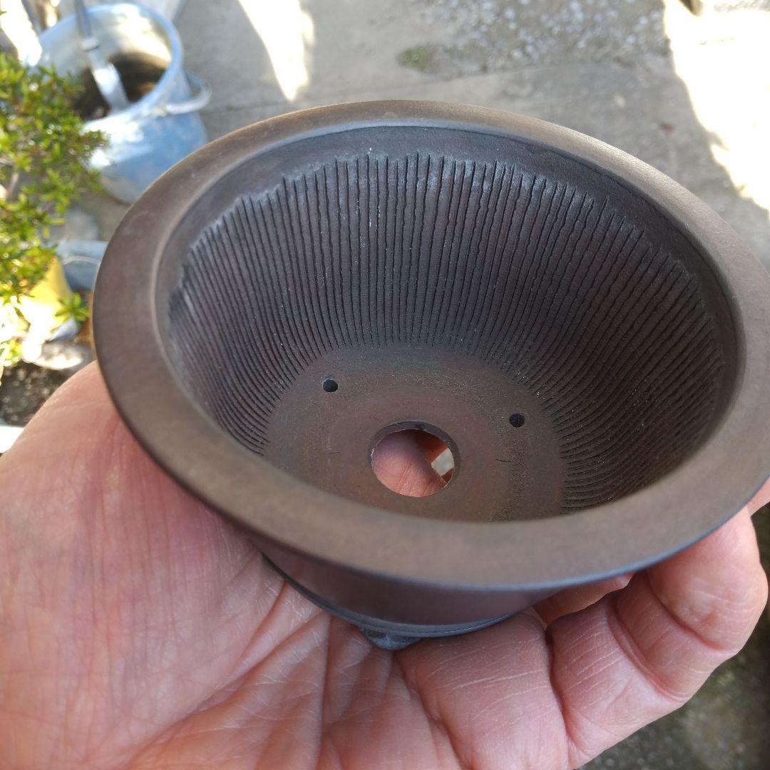 ミニ鉢、盆栽鉢、鉢、植木鉢、山野草鉢、蘭鉢、盆栽