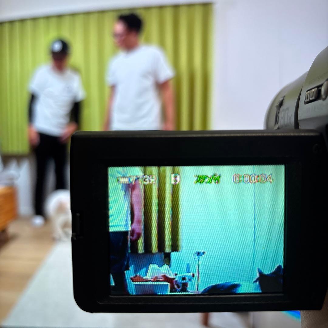 SONY ハンディカムビデオカメラ DCR-TRV735K