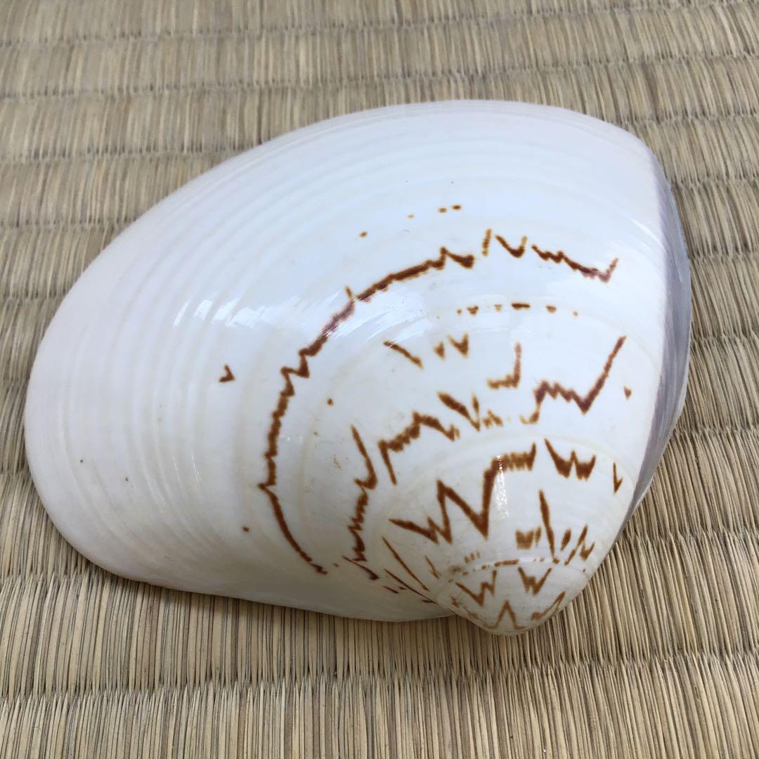 茶道具 香合 金箔蒔絵(内側) 大蛤十賊香合 共箱 S87TKG - メルカリ