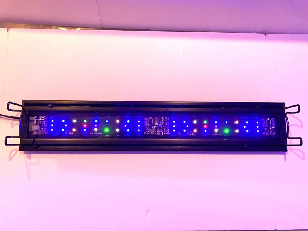 Grassy Wing2 60 グラッシー・ウィング2