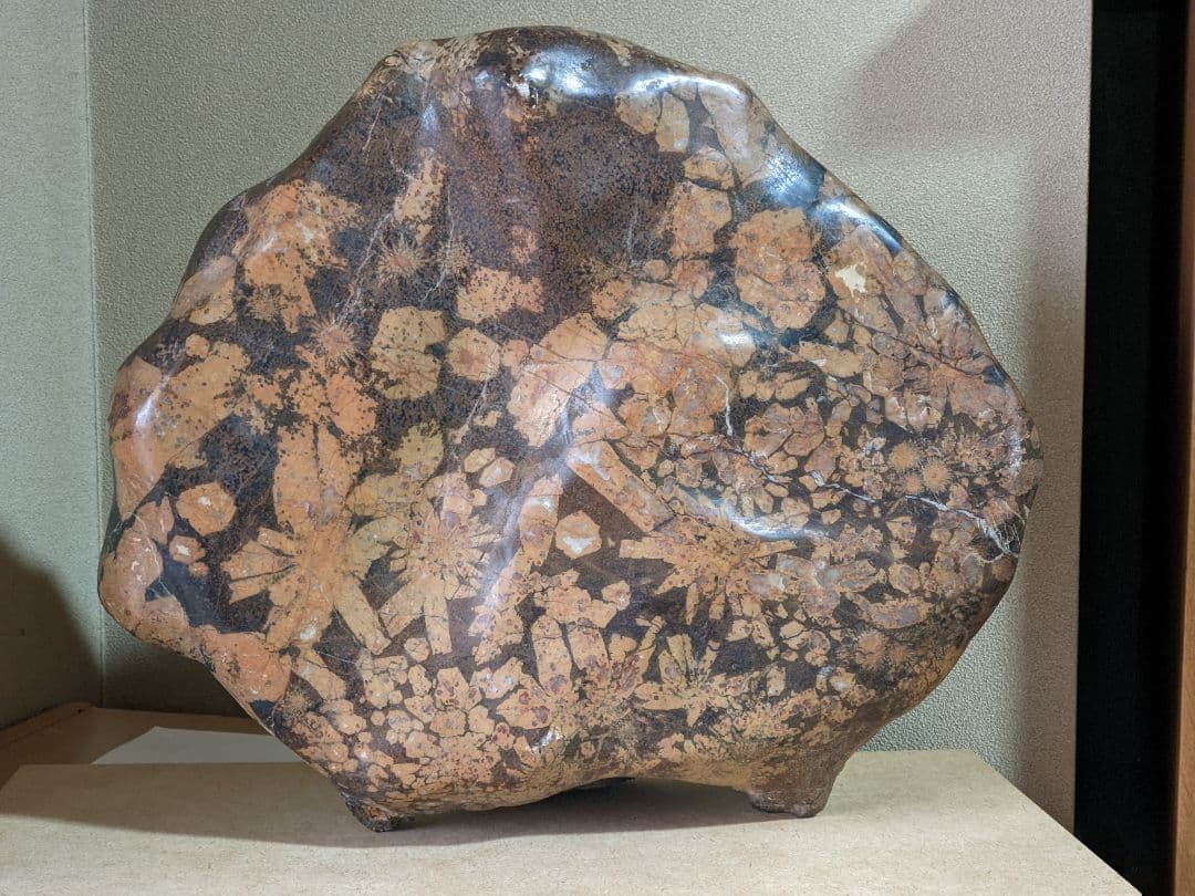 ♢昭和レトロ レア物 岐阜県 根尾谷産 菊花石 鑑賞石 天然記念