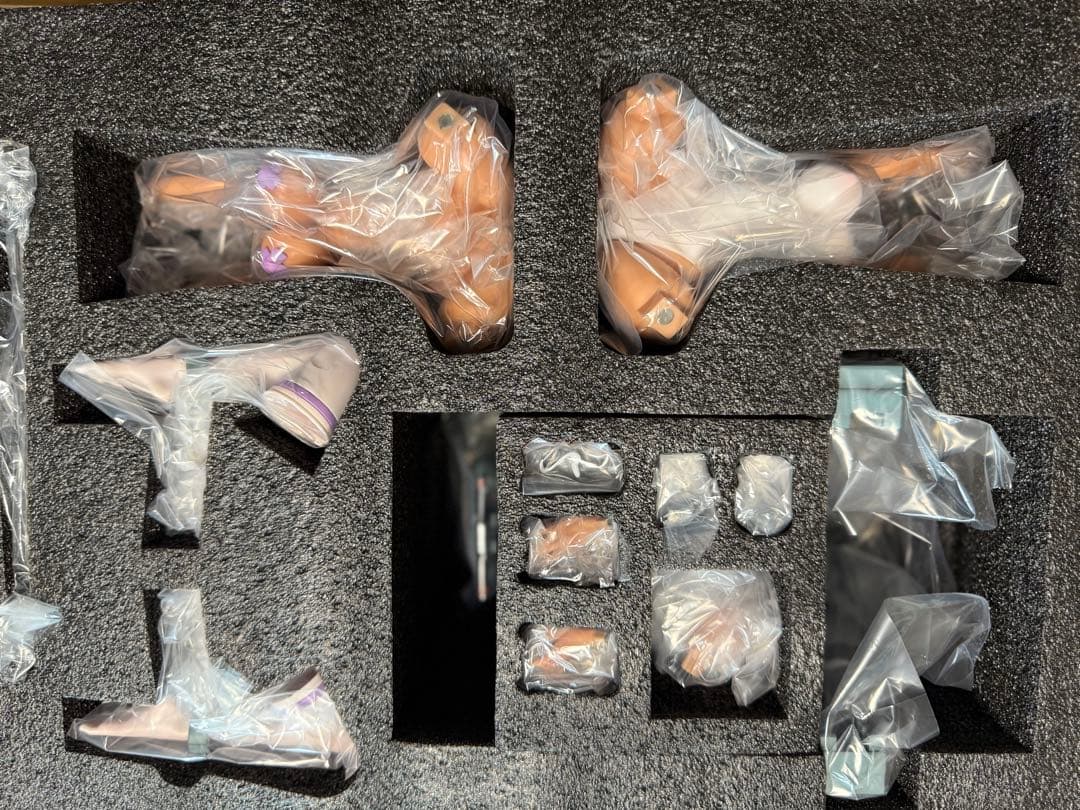 Dodomo セセリア Secelia 1/6 スタチュー