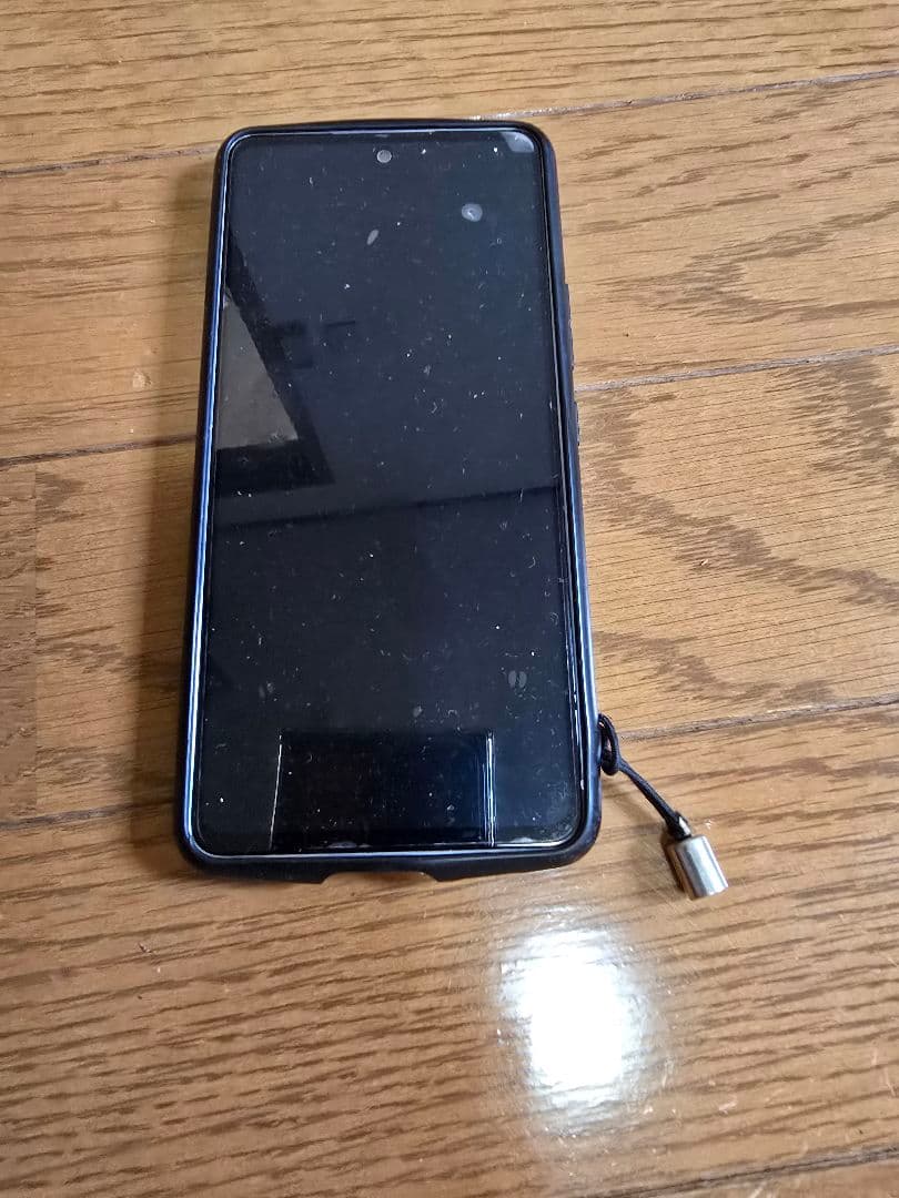 阿武隈川産 埋もれ木（割1） 新古今和歌集に詠まれた本物の伝承品