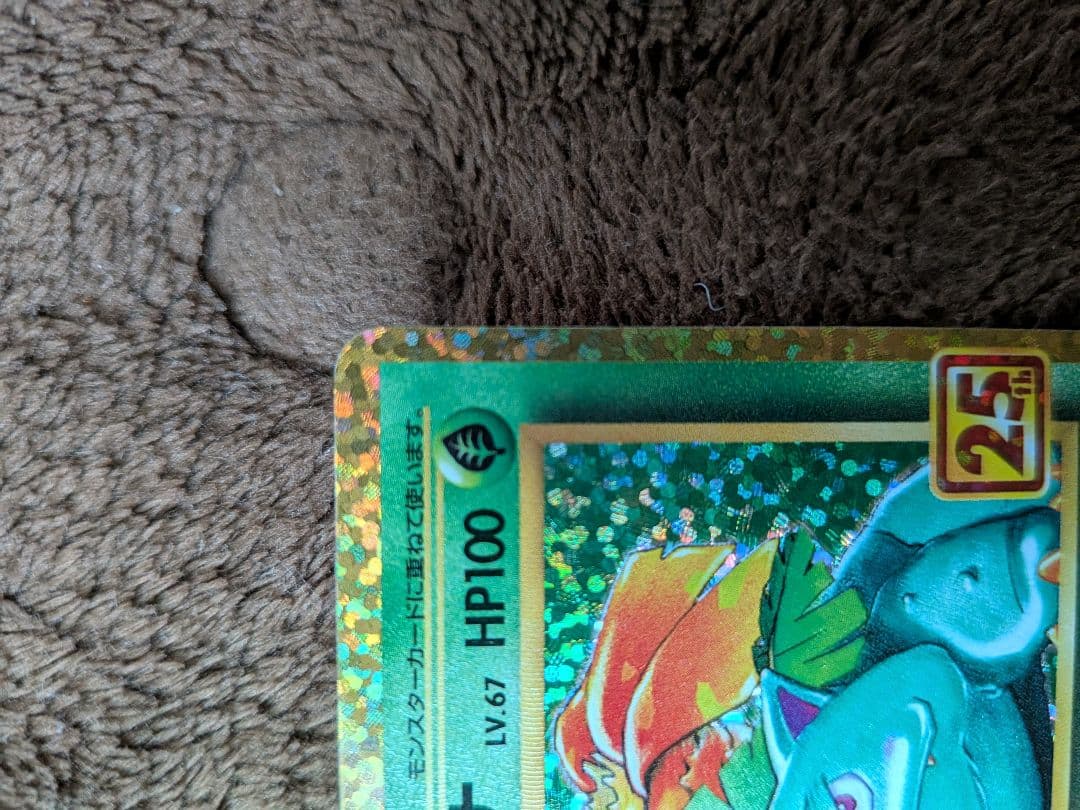 ブラッキー フシギバナ 25th ANNIVERSARY