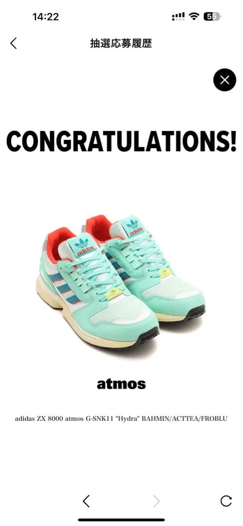 adidas ZX 8000 ミントグリーン/レッド