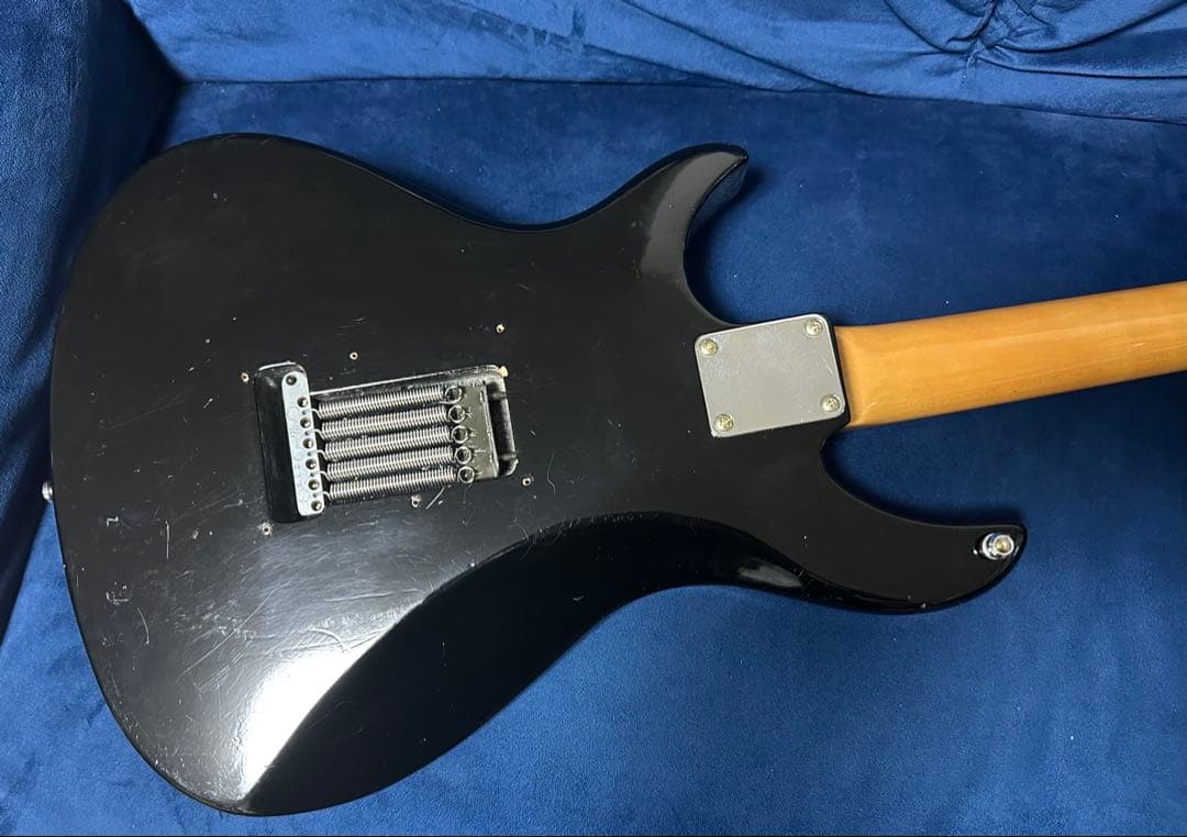 【激レア希少個体】Aquarius BLACK Beauty ＡＱ－550S