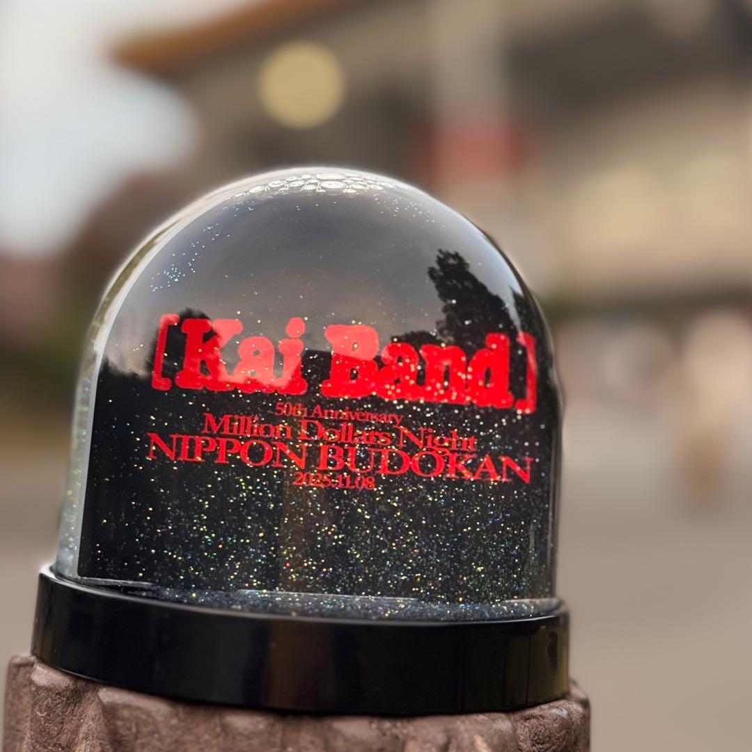 【限定・非売品】甲斐バンド 武道館ライブVIP特典 スノードーム 限定・非売品】甲斐バンド 武道館 VIP特典 スノードーム - メルカリ