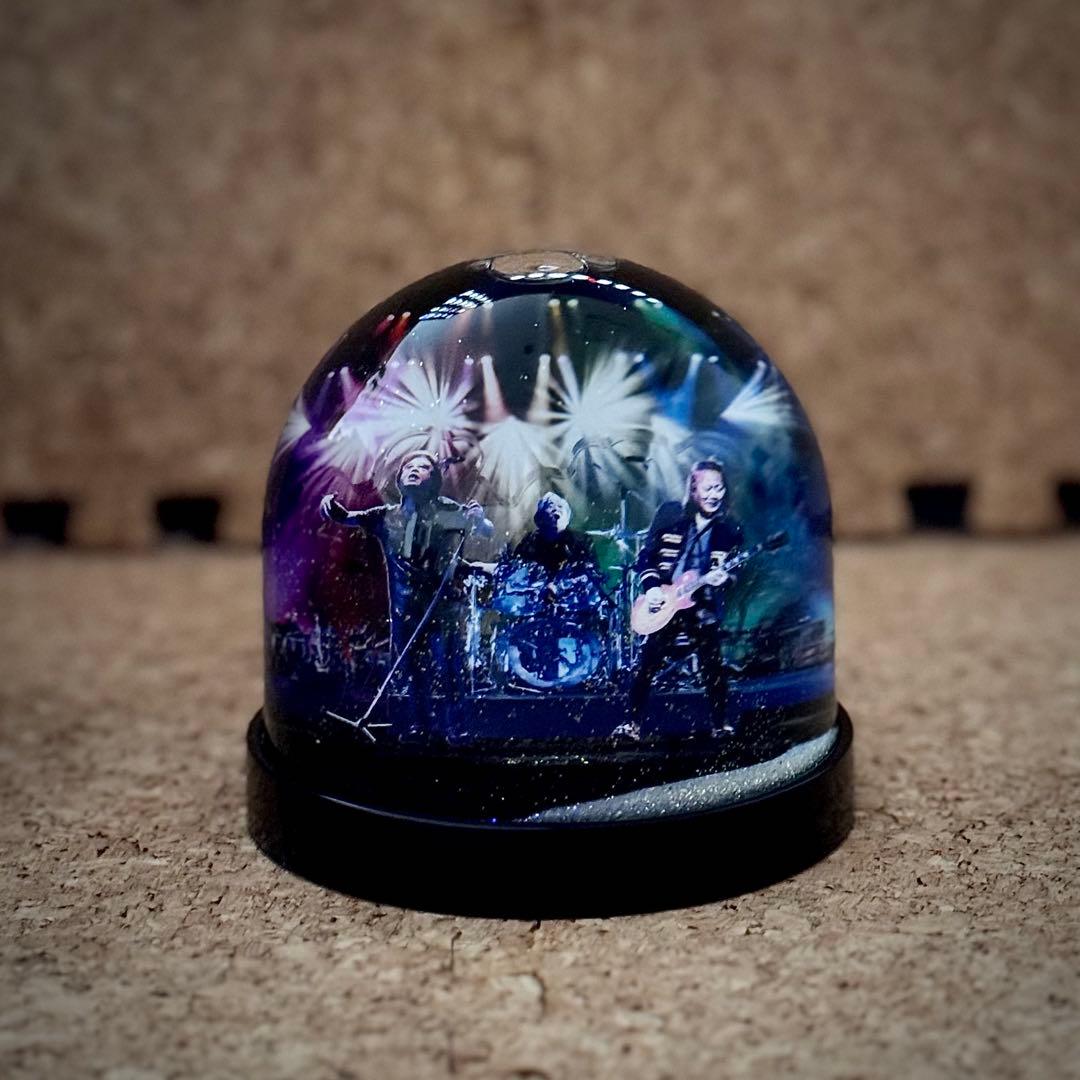 限定・非売品】甲斐バンド 武道館ライブVIP特典 スノードー