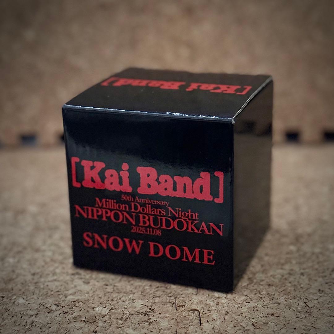 限定・非売品】甲斐バンド 武道館ライブVIP特典 スノードー